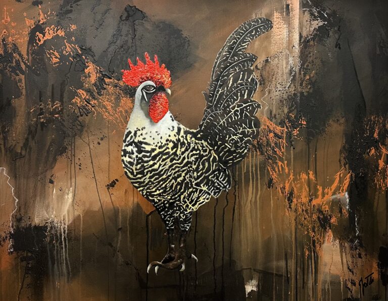 The dazzling cock