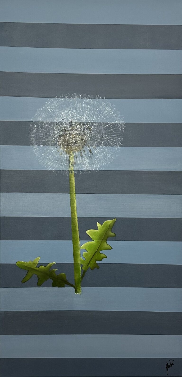 Lebenszyklus 2 – Pusteblume