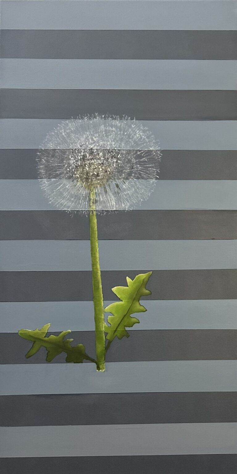 Lebenszyklus 2 – Pusteblume
